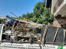 Best Retail Junk Removal  in Langston, OK